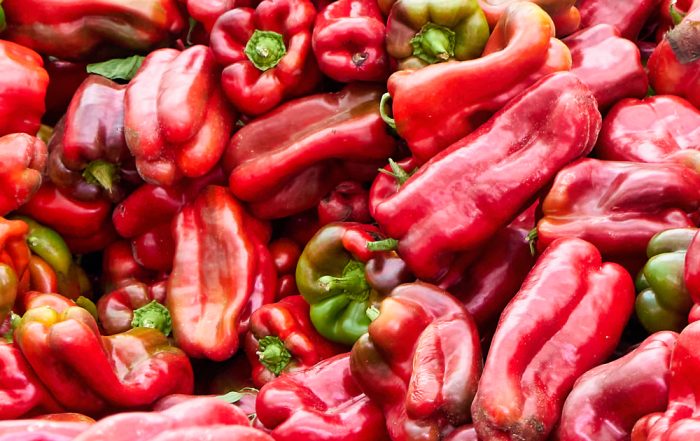 La Academia Leonesa de Gastronomía celebra la III Fiesta Gastronómica del Pimiento Morrón de Fresno de la Vega