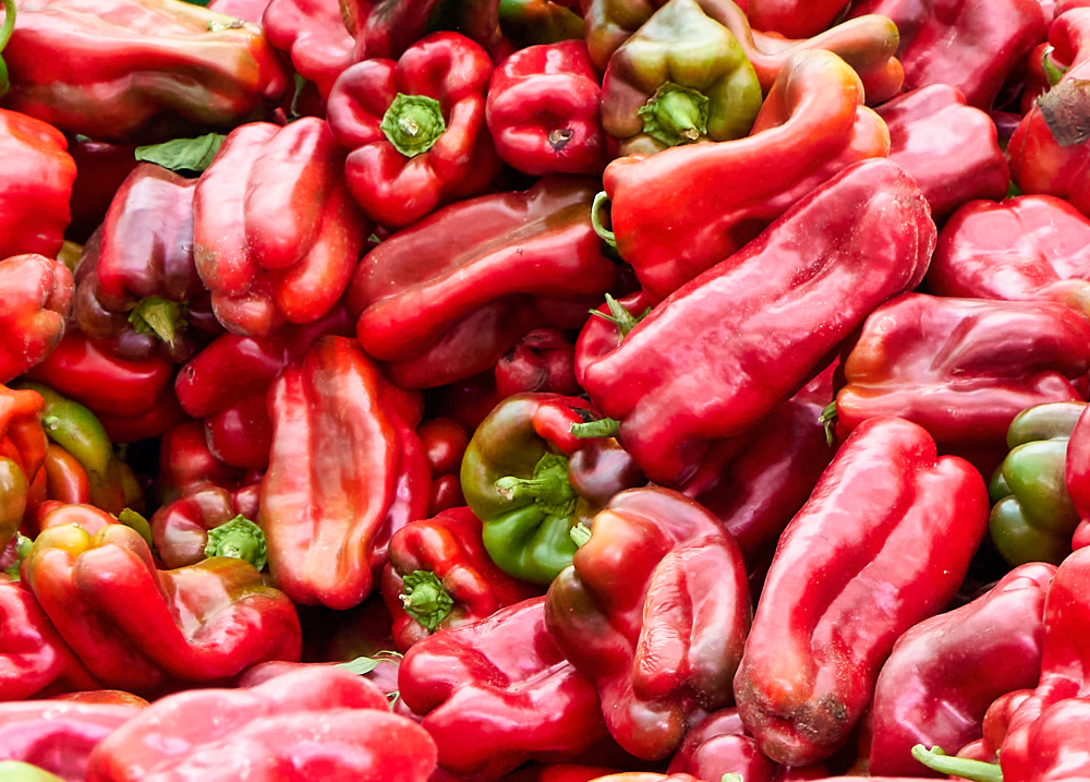 La Academia Leonesa de Gastronomía celebra la III Fiesta Gastronómica del Pimiento Morrón de Fresno de la Vega
